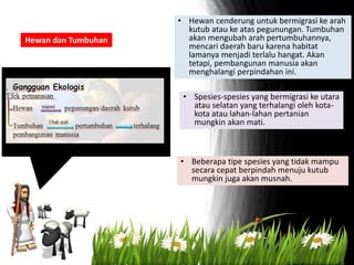 Hewan dan Tumbuhan
• Hewan cenderung untuk bermigrasi ke arah
kutub atau ke atas pegunungan. Tumbuhan
akan mengubah arah pertumbuhannya,
mencari daerah baru karena habitat
lamanya menjadi terlalu hangat. Akan
tetapi, pembangunan manusia akan
menghalangi perpindahan ini.
• Spesies-spesies yang bermigrasi ke utara
atau selatan yang terhalangi oleh kota-
kota atau lahan-lahan pertanian
mungkin akan mati.
• Beberapa tipe spesies yang tidak mampu
secara cepat berpindah menuju kutub
mungkin juga akan musnah.
 