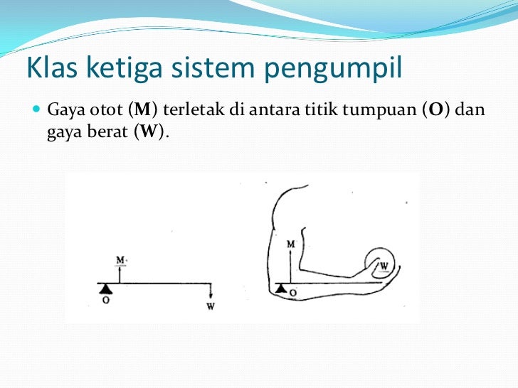 Titik nol sistem forex