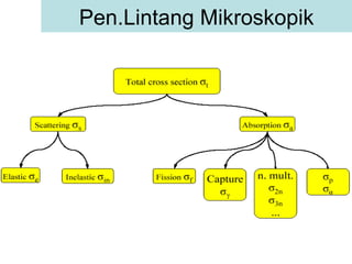 Pen.Lintang Mikroskopik 
