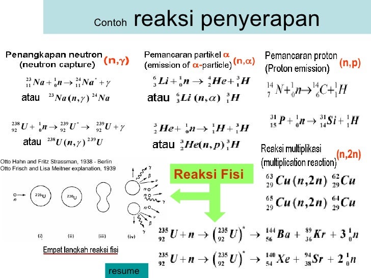 Fisika Reaktor Nuklir