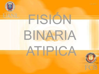 LA  251 FISIÓN BINARIA ATIPICA 