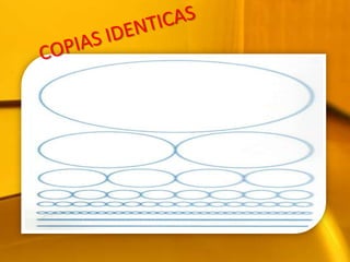 COPIAS IDENTICAS