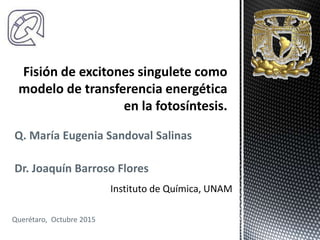 Q. María Eugenia Sandoval Salinas
Dr. Joaquín Barroso Flores
Querétaro, Octubre 2015
Instituto de Química, UNAM
 