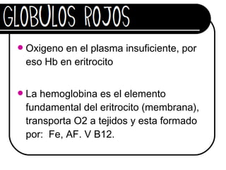 globulos rojos | PPT