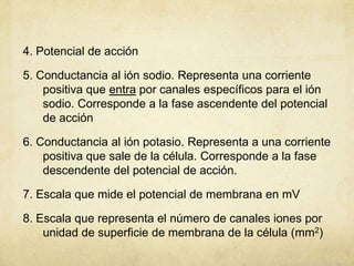 4. Potencial de acción
5. Conductancia al ión sodio. Representa una corriente
positiva que entra por canales específicos para el ión
sodio. Corresponde a la fase ascendente del potencial
de acción
6. Conductancia al ión potasio. Representa a una corriente
positiva que sale de la célula. Corresponde a la fase
descendente del potencial de acción.
7. Escala que mide el potencial de membrana en mV
8. Escala que representa el número de canales iones por
unidad de superficie de membrana de la célula (mm2)

 