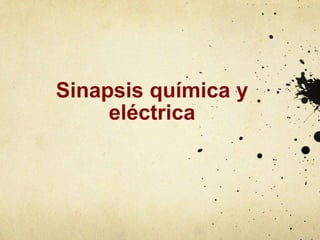 Sinapsis química y
eléctrica

 