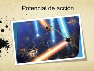 Potencial de acción

 