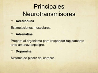 Principales
Neurotransmisores
Acetilcolina
Estimulaciones musculares,
Adrenalina
Prepara al organismo para responder rápidamente
ante amenazas/peligro.
Dopamina
Sistema de placer del cerebro.

 