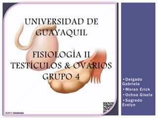 •Delgado
Gabriela
•Moran Erick
•Ochoa Gisela
•Sagredo
Evelyn
UNIVERSIDAD DE
GUAYAQUIL
FISIOLOGÍA II
TESTÍCULOS & OVARIOS
GRUPO 4
 