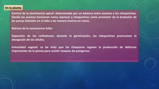 En la planta
Control de la dominancia apical: determinada por un balance entre auxinas y las citoquininas.
Donde las auxinas funcionan como represor y citoquininas como promotor de la brotación de
las yemas laterales en el tallo y de manera inversa en raíces.
Retraso de la senescencia foliar
Expansión de los cotiledones: durante la germinación, las citoquininas promueven la
elongación de las células.
Inmunidad vegetal: se ha visto que las citoquinas regulan la producción de defensas
importantes de la planta para resistir ataques de patógenos.
 
