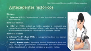 Antecedentes históricos
Hipótesis.
 Haberland (1913): Propusieron que existen hormonas que estimulan la
división celular.
Hormonas sintéticas.
 Miller et (1955): aislaron de tejidos animales el compuesto que
estimulaba fuertemente las divisiones celulares en las plantas. La estructura
de este compuesto se identificó y la sustancia se le nombró cinetina.
Hormonas naturales
 Johannes Van Overbeek (1941): el endospermo liquido de coco tambien
estimula la división celular
 Miller y Letham (1964): aislaron de semillas inmaduras de maíz (Zea
mays) un compuesto que estimulaba fuertemente las divisiones celulares en
plantas. Se determinó su estructura química y se le nombró zeatina.
http://fisiolvegetal.blogspot.com/2012/10/citocininas.html
 