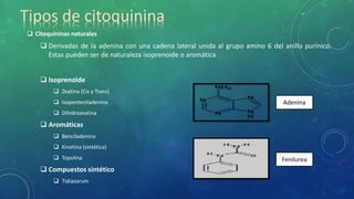Tipos de citoquinina
 Citoquininas naturales
 Derivadas de la adenina con una cadena lateral unida al grupo amino 6 del anillo purínico.
Estas pueden ser de naturaleza isoprenoide o aromática
 Isoprenoide
 Zeatina (Cis y Trans)
 Isopenteniladenina
 Dihidrozeatina
 Aromáticas
 Benciladenina
 Kinetina (sintética)
 Topolina
 Compuestos sintético
 Tidiazorum
Adenina
Fenilurea
 