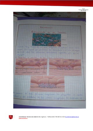 UNIVERSIDAD TÉCNICA DE AMBATO Cdla. Ingahurco Teléfono (03) 3 730 268 Ext. 5215 fcs.enfermeria@uta.edu.ec
www.uta.edu.ec
F C S__________________________________________________________________________________
Facultad DE Ciencias
De la Salud
 