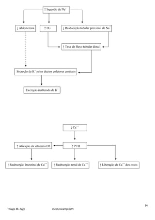 14
Thiago M. Zago medUnicamp XLVI
↑ Ingestão de Na+
↓ Aldosterona ↑ FG ↓ Reabsorção tubular proximal de Na+
↑ Taxa de fluxo tubular distal
Secreção de K+
pelos ductos coletores corticais
Excreção inalterada de K+
↓ Ca++
↑ Ativação da vitamina D3 ↑ PTH
↑ Reabsorção intestinal de Ca++
↑ Reabsorção renal de Ca++
↑ Liberação de Ca++
dos ossos
 