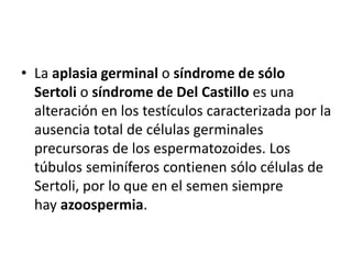 • La aplasia germinal o síndrome de sólo
Sertoli o síndrome de Del Castillo es una
alteración en los testículos caracterizada por la
ausencia total de células germinales
precursoras de los espermatozoides. Los
túbulos seminíferos contienen sólo células de
Sertoli, por lo que en el semen siempre
hay azoospermia.
 