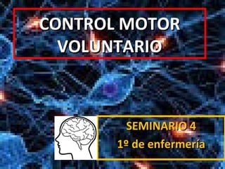 CONTROL MOTOR
VOLUNTARIO

SEMINARIO 4
1º de enfermería

 