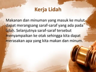 Kerja Lidah
Makanan dan minuman yang masuk ke mulut
dapat merangsang saraf-saraf yang ada pada
lidah. Selanjutnya saraf-saraf tersebut
menyampaikan ke otak sehingga kita dapat
merasakan apa yang kita makan dan minum.
 