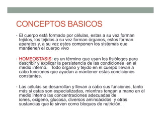 • El cuerpo está formado por células, estas a su vez forman
tejidos, los tejidos a su vez forman órganos, estos forman
aparatos y, a su vez estos componen los sistemas que
mantienen el cuerpo vivo
• HOMEOSTASIS: es un término que usan los fisiólogos para
describir y explicar la persistencia de las condiciones en el
medio interno. Todo órgano y tejido en el cuerpo llevan a
cabo funciones que ayudan a mantener estas condiciones
constantes.
• Las células se desarrollan y llevan a cabo sus funciones, tanto
más si estas son especializadas, mientras tengan a mano en el
medio interno las concentraciones adecuadas de
iones, oxigeno, glucosa, diversos aminoácidos y otras
sustancias que le sirven como bloques de nutrición.
CONCEPTOS BASICOS
 