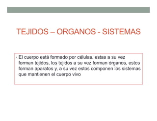• El cuerpo está formado por células, estas a su vez
forman tejidos, los tejidos a su vez forman órganos, estos
forman aparatos y, a su vez estos componen los sistemas
que mantienen el cuerpo vivo
TEJIDOS – ORGANOS - SISTEMAS
 
