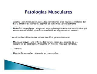  Atrofia: por denervación, causadas por lesiones a las neuronas motoras del
hasta anterior de la médula espinal. Es transmitida geneticamente
 Distrofias musculares: , un grupo heterogéneo de trastornos hereditarios que
cursan con debilidad y atrofia musculares, en algunos casos severos.
Las miopatías inflamatorias: parece ser dé origen autoinmune.
 Miastenia grave: una enfermedad caracterizada por pérdida de los
receptores de acetilcolina frecuente en mujeres más que hombres.
 Tumores
 Hipertrofia muscular : alteraciones hormonales.
 