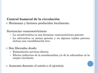 Control humoral de la circulación
 Hormonas y factores producidos localmente.
Sustancias vasoconstrictoras
La noradrenalina es una hormona vasoconstrictora potente
 La adrenalina es menos potente y en algunos tejidos provoca
incluso una vasodilatación leve.




Son liberados desde:
Estimulación nerviosa directa
 Efectos indirectos de la noradrenalina y/o de la adrenalina en la
sangre circulante.




Aumento durante el estrés o el ejercicio.

 