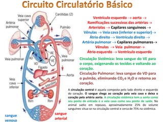 Ventrículo esquerdo  aorta 
Ramificações sucessivas das artérias
Arteríolas  Capilares sanguíneos 
Vênulas  Veia cava (inferior e superior)
Átrio direito  Ventrículo direito 
Artéria pulmonar  Capilares pulmonares
sangue
venoso
sangue
arterial
Vênulas  Veia pulmonar
Átrio esquerdo  Ventrículo esquerdo
Circulação Sistêmica: leva sangue do VE para
o corpo, oxigenando os tecidos e voltando ao
coração.
Circulação Pulmonar: leva sangue do VD para
o pulmão, eliminando CO2 e H2O e retorna ao
coração.
A circulação central é aquela composta pelo lado direito e esquerdo
do coração. O sangue chega ao coração pela veia cava e deixa o
coração pela artéria aorta. A circulação sistêmica tem a aorta como
seu ponto de entrada e a veia cava como seu ponto de saída. No
animal sadio em repouso, aproximadamente 25% do volume
sanguíneo situa-se na circulação central e cerca de 75% na sistêmica.
 