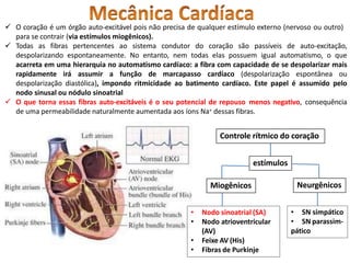  O coração é um órgão auto-excitável pois não precisa de qualquer estímulo externo (nervoso ou outro)
para se contrair (via estímulos miogênicos).
 Todas as fibras pertencentes ao sistema condutor do coração são passíveis de auto-excitação,
despolarizando espontaneamente. No entanto, nem todas elas possuem igual automatismo, o que
acarreta em uma hierarquia no automatismo cardíaco: a fibra com capacidade de se despolarizar mais
rapidamente irá assumir a função de marcapasso cardíaco (despolarização espontânea ou
despolarização diastólica), impondo ritmicidade ao batimento cardíaco. Este papel é assumido pelo
nodo sinusal ou nódulo sinoatrial
 O que torna essas fibras auto-excitáveis é o seu potencial de repouso menos negativo, consequência
de uma permeabilidade naturalmente aumentada aos íons Na+ dessas fibras.
Controle rítmico do coração
estímulos
Miogênicos Neurgênicos
• Nodo sinoatrial (SA)
• Nodo atrioventricular
(AV)
• Feixe AV (His)
• Fibras de Purkinje
• SN simpático
• SN parassim-
pático
 