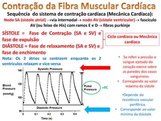 Sequência do sistema de contração cardíaca (Mecânica Cardíaca):
Nodo SA (sístole atrial) via internodal nodo AV (sístole ventricular) fascículo
AV (ou feixe de His) com ramos E e D fibras purkinje
SÍSTOLE = Fase de Contração (SA e SV) e
fase de expulsão
DIÁSTOLE = Fase de relaxamento (SA e SV) e
fase de enchimento
Nota: Os 2 átrios se contraem enquanto os 2
ventrículos relaxam e vice-versa
Ciclo cardíaco ou Mecânica
cardíaca
• Se referi a pressão o
sangue ejetado do
coração exerce sobre
as paredes dos vasos
sanguíneos.
• Corresponde ao valor
máximo da sístole
•Depende da
resistência vascular
periférica.
• Corresponde ao valor
mínimo da diástole
=FC
 