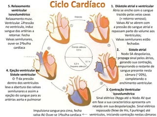 Impulsiona sangue pra cima, fecha
valva AV
. Ouve-se 1ªbulha cardíaca
1. Diástole atrial e ventricular
Átrio se enche com o sangue
trazido pelas veias cavas
(= retorno venoso);
Valvas AV se abrem com
a pressão do sangue atrial e
repassam parte do volume aos
Ventrículos;
Valvas semilunares estão
fechadas
2. Sístole atrial
Nodo SA despolariza,
propaga sinal pelos átrios,
gerando sua contração,
empurrando o restante de
sangue presente nesta
câmara (~20%),
completando o
enchimento ventricular.
3. Contração Ventricular
isovolumétrica
Sinal elétrico chega até o Nodo AV que
em fase a sua característica apresenta um
retardo em sua despolarização. Sinal elétrico
repassado (feixe de His, F.purkinge) até
ventrículos, iniciando contração nestas câmaras
5. Relaxamento
ventricular
isovolumétrico
Relaxamento musc.
Ventricular. Pressão
no ventrículo, induz
sangue das artérias a
retornar. Fecha
Valvas semilunares,
ouve-se 2ªbulha
cardíaca
4. Ejeção ventricular ou
Sístole ventricular
O ↑da pressão
dentro dos ventrículos
leva a abertura das valvas
semilunares e assim a
ejeção do sangue para as
artérias aorta e pulmonar
 