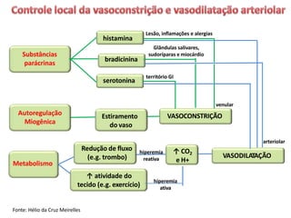 VASOCONSTRIÇÃO
Estiramento
do vaso
Autoregulação
Miogênica
serotonina
histamina
Substâncias
parácrinas
Lesão, inflamações e alergias
território GI
Glândulas salivares,
sudoríparas e miocárdio
bradicinina
venular
Metabolismo
VASODILATAÇÃO
Redução de fluxo
(e.g. trombo)
↑ atividade do
tecido (e.g. exercício)
↑ CO2
e H+
hiperemia
ativa
hiperemia
reativa
arteriolar
Fonte: Hélio da Cruz Meirelles
 