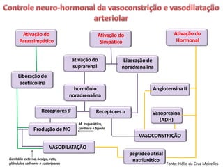 Ativação do
Parassimpático
Ativação do
Simpático
Ativação do
Hormonal
ativação do
suprarenal
Liberação de
noradrenalina
Liberação de
acetilcolina
hormônio
noradrenalina
Receptores β Receptores α
Produção de NO
Vasopresina
(ADH)
VASOCONSTRIÇÃO
VASODILATAÇÃO
peptídeo atrial
natriurético
Angiotensina II
M. esquelético,
cardíaco e fígado
Genitália externa, bexiga, reto,
glândulas salivares e sudoríparas Fonte: Hélio da Cruz Meirelles
 
