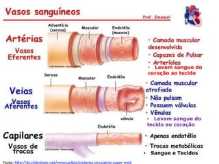 • Levam sangue do
tecido ao coração
• Levam sangue do
coração ao tecido
• Sangue e Tecidos
Fonte: http://pt.slideshare.net/emanuelbio/sisitema-circulatrio-super-med
 