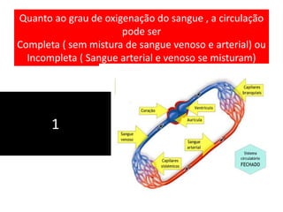 Quanto ao grau de oxigenação do sangue , a circulação 
pode ser 
Completa ( sem mistura de sangue venoso e arterial) ou 
Incompleta ( Sangue arterial e venoso se misturam) 
1 
 
