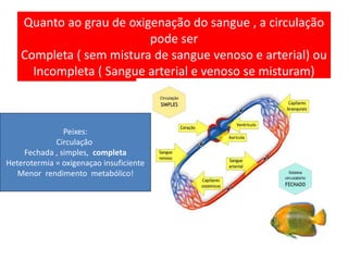 Quanto ao grau de oxigenação do sangue , a circulação 
pode ser 
Completa ( sem mistura de sangue venoso e arterial) ou 
Incompleta ( Sangue arterial e venoso se misturam) 
Peixes: 
Circulação 
Fechada , simples, completa 
Heterotermia = oxigenaçao insuficiente 
Menor rendimento metabólico! 
 