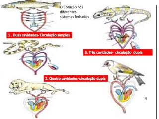 4 
O Coração nos 
diferentes 
sistemas fechados 
5 
 