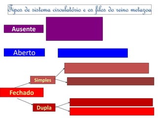 Ausente 
Aberto 
Fechado 
Simples 
Dupla 
 