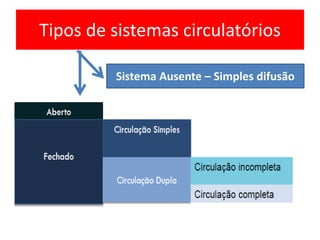 Tipos de sistemas circulatórios 
Sistema Ausente – Simples difusão 
 