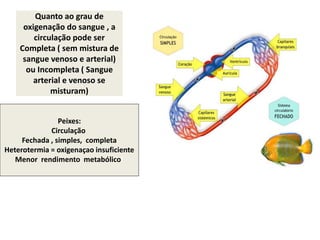 Quanto ao grau de
oxigenação do sangue , a
circulação pode ser
Completa ( sem mistura de
sangue venoso e arterial)
ou Incompleta ( Sangue
arterial e venoso se
misturam)
Peixes:
Circulação
Fechada , simples, completa
Heterotermia = oxigenaçao insuficiente
Menor rendimento metabólico!
 