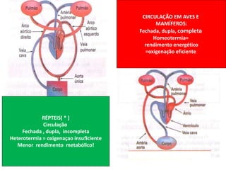 CIRCULAÇÃO EM AVES E
MAMÍFEROS:
Fechada, dupla, completa
Homeotermia=
rendimento energético
=oxigenação eficiente
RÉPTEIS( * )
Circulação
Fechada , dupla, incompleta
Heterotermia = oxigenaçao insuficiente
Menor rendimento metabólico!
 