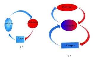 Coração
Corpo
Brânquias
1 ?
2 ?
 