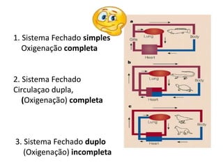 1. Sistema Fechado simples
Oxigenação completa
2. Sistema Fechado
Circulaçao dupla,
(Oxigenação) completa
3. Sistema Fechado duplo
(Oxigenação) incompleta
 
