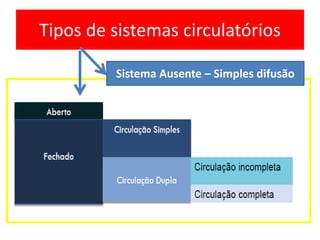 Tipos de sistemas circulatórios
Sistema Ausente – Simples difusão
 
