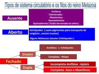 Ausente
Poríferos
Celenterados
Platelmintos
Nematelmintos
Equinodermos ( fluido derramado no celma )
Aberto
Fechado
Simples
Dupla
Completa - Peixes
Incompleta-Anfíbios répteis
Completa- Aves e Mamíferos
Anelídeos e Cefalópodes
Artrópodes ( usam pigmentos para transporte de
oxigênio , exceto insetos)
Alguns Moluscos (exceto Cefalopodes )
 