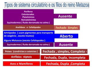 Ausente
Poríferos
Celenterados
Platelmintos
Nematelmintos
Equinodermos ( fluido derramado no celma )
Aberto
Fechado Simples
Fechada , simples, Completa -
Fechada, Dupla, Incompleta
Fechada, Dupla ,Completa
Anelídeos e Cefalópodes
Artrópodes ( usam pigmentos para transporte
de oxigênio , exceto insetos)
Alguns Moluscos (exceto Cefalopodes )
Equinodermos ( fluido derramado no celma ) Ausente
Peixes (condrictes e osteíctes )
Anfíbios répteis
Aves e Mamíferos
 
