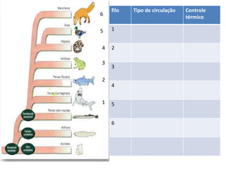 1
5
4
3
2
6
filo Tipo de circulação Controle
térmico
1
2
3
4
5
6
 