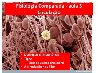 Fisiologia Comparada - aula 3
Circulação
• Definiçao e Importância
• Tipos
– Tipos de sistema circulatório
• A circulação nos Filos
 