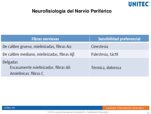 Fisioterapia en personas con diabetes Fisioterapia en personas con diabetes