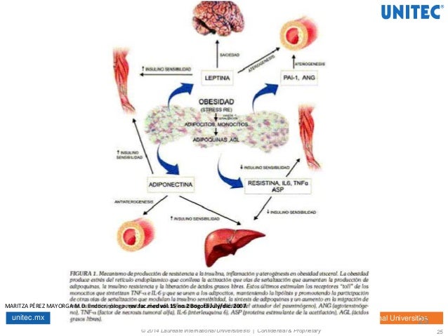 Fisioterapia en personas con diabetes Fisioterapia en personas con diabetes