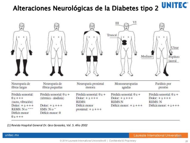 Fisioterapia en personas con diabetes Fisioterapia en personas con diabetes