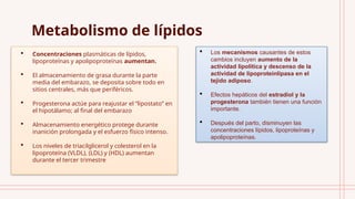 Metabolismo de lípidos
 Concentraciones plasmáticas de lípidos,
lipoproteínas y apolipoproteínas aumentan.
 El almacenamiento de grasa durante la parte
media del embarazo, se deposita sobre todo en
sitios centrales, más que periféricos.
 Progesterona actúe para reajustar el “lipostato” en
el hipotálamo; al final del embarazo
 Almacenamiento energético protege durante
inanición prolongada y el esfuerzo físico intenso.
 Los niveles de triacilglicerol y colesterol en la
lipoproteína (VLDL), (LDL) y (HDL) aumentan
durante el tercer trimestre
 Los mecanismos causantes de estos
cambios incluyen aumento de la
actividad lipolítica y descenso de la
actividad de lipoproteinlipasa en el
tejido adiposo.
 Efectos hepáticos del estradiol y la
progesterona también tienen una función
importante.
 Después del parto, disminuyen las
concentraciones lípidos, lipoproteínas y
apolipoproteínas.
 